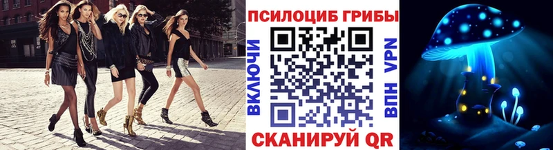 Купить где  Зима  Псилоцибиновые грибы Psilocybine cubensis 